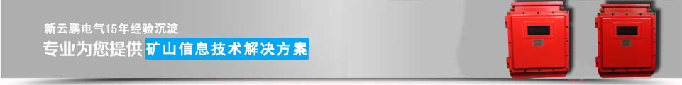 新云鵬科技 新云鵬科技
